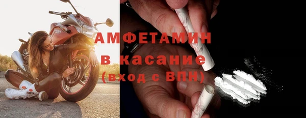 твердый Бородино