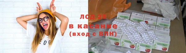 PSILOCYBIN Бугульма
