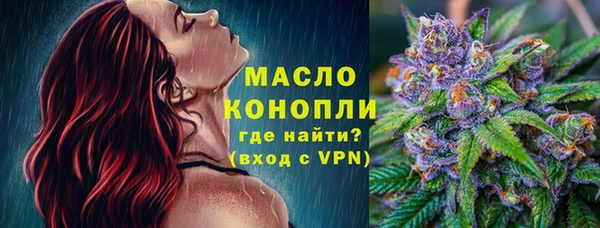 твердый Бородино