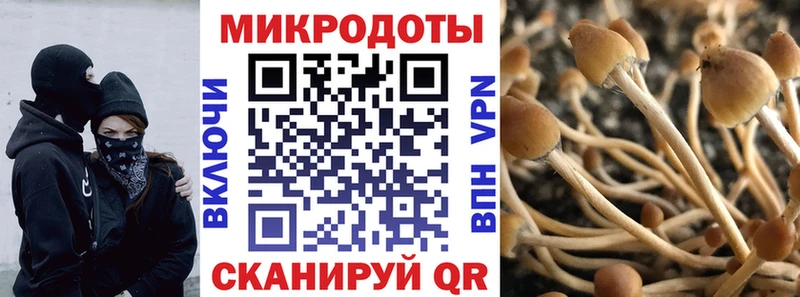 Псилоцибиновые грибы Cubensis  МЕГА сайт  Козельск 